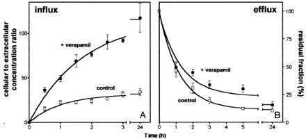 azithro + verapamil