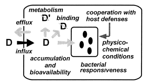 Pharmacokinetic and Pharmacodynamic parameters